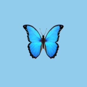 Meet your Posher, Lacey